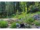 Serene backyard pond surrounded by rocks and lush landscaping at 1345 Witter Gulch Rd, Evergreen, CO 80439