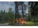 Beautiful exterior view of wood home with mature trees and lawn area at 1345 Witter Gulch Rd, Evergreen, CO 80439