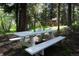 A picnic table sitting in the woods with a glimpse of a playground at 1345 Witter Gulch Rd, Evergreen, CO 80439