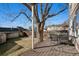 Deck featuring chairs and table with a large tree at 1215 S Ogden St, Denver, CO 80210