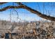 A lovely treetop view with mountains in the distance at 1215 S Ogden St, Denver, CO 80210