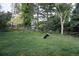 Spacious backyard with lush green lawn, mature trees, a hammock and a dog catching a frisbee at 5951 E Irish Pl, Centennial, CO 80112