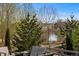 Relax on the backyard patio with a view of a lake and mature trees beyond the fence at 507 Red Thistle Dr, Highlands Ranch, CO 80126