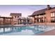 Community pool includes lounge chairs, covered seating, and well-kept landscaping at 483 Agoseris Way, Castle Rock, CO 80104