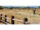 Scenic community bike path alongside native grasses, perfect for outdoor enthusiasts and healthy lifestyles at 14454 E Colorado Dr # 102, Aurora, CO 80012