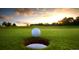 Community golf course green with hole, perfect for golf enthusiasts to practice their putting skills at 14454 E Colorado Dr # 102, Aurora, CO 80012