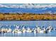 Beautiful community lake with mountain views, perfect for relaxation and outdoor recreation at 14454 E Colorado Dr # 102, Aurora, CO 80012