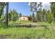 Quaint single-story home with wood siding nestled amongst tall pine trees in a mountain community at 10893 Milliken Ave, Conifer, CO 80433