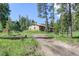 Exterior view of single-story home with wood siding surrounded by mature pine trees in a grassy yard at 10893 Milliken Ave, Conifer, CO 80433
