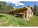 Exterior elevation view of the home on an overgrown lot at 10893 Milliken Ave, Conifer, CO 80433