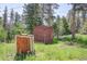 Two storage sheds in a grassy yard surrounded by trees, with one shed showing wood paneling at 10893 Milliken Ave, Conifer, CO 80433