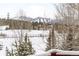 Balcony view of snowy mountain landscape with ski runs through bare winter trees at 186 Rachel Ln, Breckenridge, CO 80424