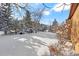 Snowy backyard with trees and landscaping at 1585 Old Antlers, Monument, CO 80132