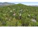 Scenic aerial view of homes nestled among mature trees providing a sense of privacy and natural beauty at 29962 Troutdale Ridge Rd, Evergreen, CO 80439