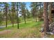 Scenic view of the property with lush green grass, mature trees, and a charming walkway leading to the house at 29962 Troutdale Ridge Rd, Evergreen, CO 80439