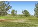 Expansive backyard, a verdant lawn framed by mature trees under a clear blue sky at 1601 Great Western Dr # D3, Longmont, CO 80501