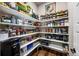 Well-organized pantry with ample shelving for storage at 5707 Cadara Way, Parker, CO 80134