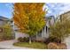 Two-story home with gray siding, attached garage, and large tree with fall foliage at 1867 W 137Th Ln, Broomfield, CO 80023