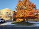 Charming two-story home showcasing a beautiful tree with vibrant autumn colors against a clear blue sky at 12433 Bellaire Dr, Thornton, CO 80241