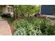 Beautiful garden bed with a variety of plants and colorful flowers at 479 Blue Lake Trl, Lafayette, CO 80026
