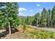 Scenic view of a long driveway winding through a lush forest and mountains in the distance at 8340 London Ln, Conifer, CO 80433