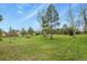 Expansive green backyard with scattered trees, a swing set, and a shed at 34101 Columbine E Trl, Elizabeth, CO 80107