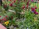 Landscaped garden with colorful roses and other blooms at 4500 Montview Blvd, Denver, CO 80207