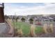 Spacious backyard featuring a small turf lawn and stone landscaping, perfect for outdoor relaxation at 3910 Mighty Oaks St, Castle Rock, CO 80104