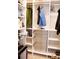Walk-in closet with ample storage space and metal basket drawers at 3910 Mighty Oaks St, Castle Rock, CO 80104
