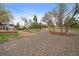 Spacious backyard with gravel landscaping, mature trees, and a built-in fire pit at 31 Circle Dr, Castle Rock, CO 80104