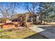 Backyard featuring a deck, pergola, and mature trees at 721 Monroe St, Denver, CO 80206