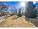 Well-maintained front yard with mature trees and lush green lawn at 721 Monroe St, Denver, CO 80206