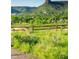 Scenic view of a vibrant green field with a backdrop of mountains on the horizon at 19061 Eagle Ridge Dr, Golden, CO 80401