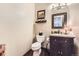 Well-appointed powder room with decorative mirror, modern fixtures, and stylish vanity at 10703 Flagler Dr, Parker, CO 80134