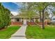 Inviting brick home with a lush green lawn and mature tree at 7861 Osceola St, Westminster, CO 80030
