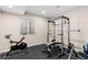 Basement gym with exercise bike and weightlifting equipment at 14100 Blue Wing Ln, Parker, CO 80134