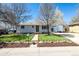 Charming home features a well-manicured lawn, tasteful landscaping, and a welcoming front entrance at 7977 Durango St, Denver, CO 80221
