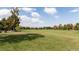 Expansive green park with mature trees under a bright blue sky, perfect for recreation at 732 S Gaylord St, Denver, CO 80209