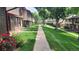 Well-manicured townhome community featuring lush green lawns and mature shade trees at 442 S Carr St, Lakewood, CO 80226