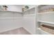 Walk-in closet with shelving and carpet at 779 N Deer Park St, Watkins, CO 80137