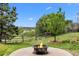 Scenic backyard featuring a fire pit, lush lawn, mature trees, and a rustic wooden fence at 603 E 2Nd Ave, Castle Rock, CO 80108