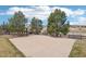 View of backyard cement basketball court area with surrounding trees at 11938 S Meander Way, Parker, CO 80138
