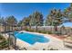 Sparkling swimming pool with mature trees providing a private oasis at 1635 Sharps Ct, Castle Rock, CO 80109
