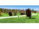 Community park with abstract metal bison sculptures set amongst grassy lawns and walking paths at 15637 Deer Mountain Cir, Broomfield, CO 80023