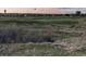 Scenic golf course view with expansive green fairways at 10405 W 107Th Pl, Broomfield, CO 80021