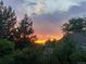 Tranquil sunset view with trees and roofline at 6979 E Fremont Ave, Centennial, CO 80112