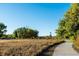 A walking path near a field and trees in a serene outdoor setting at 4241 Brookwood Pl, Highlands Ranch, CO 80130