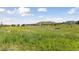 Expansive green space view, complemented by the backdrop of the community's neighborhood homes at 81 Simmental Loop, Castle Rock, CO 80104