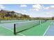 Well-maintained tennis courts and community amenities set against a picturesque backdrop of neighborhood homes at 81 Simmental Loop, Castle Rock, CO 80104