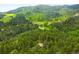 A home nestled among lush green trees and hillside in a serene and natural setting at 9633 Fox Valley Dr, Morrison, CO 80465
